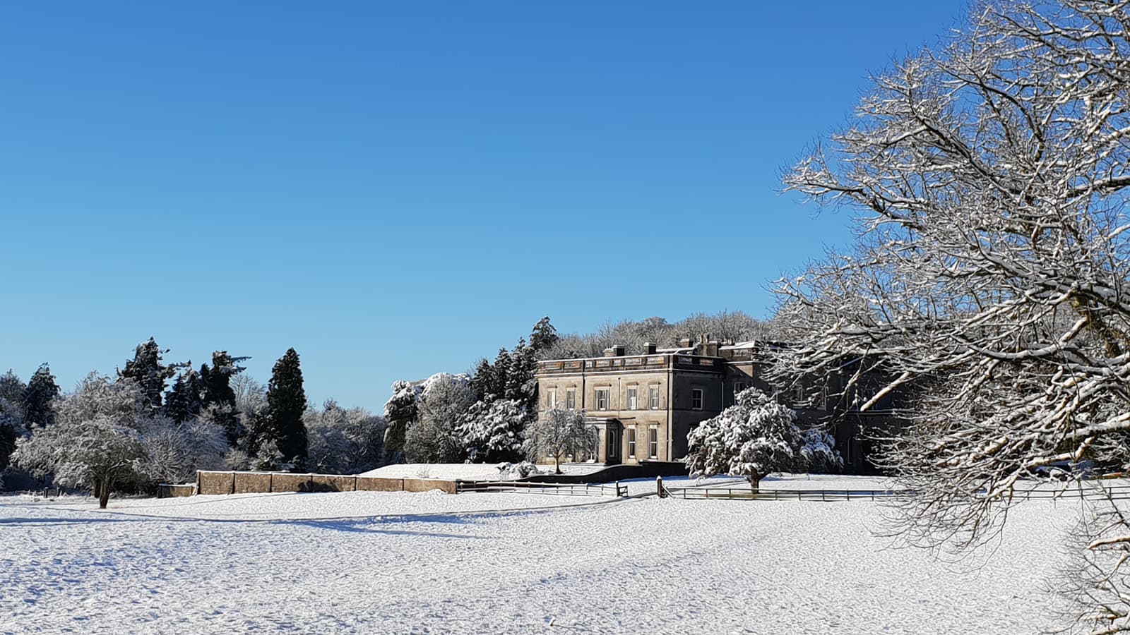Temple House gardens in the snow