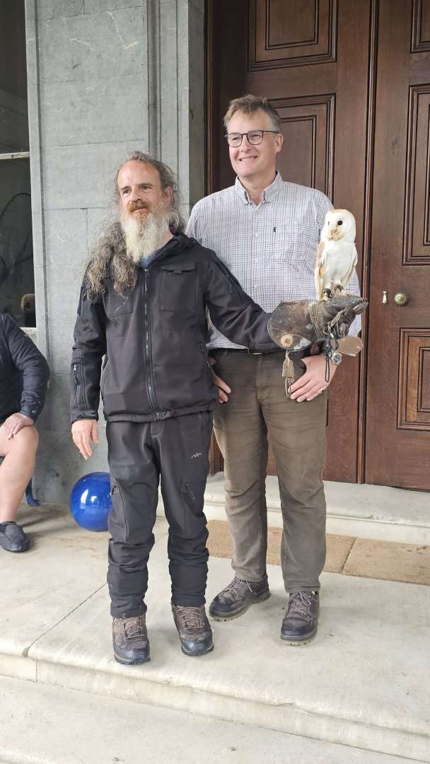 Falconry on the lawn