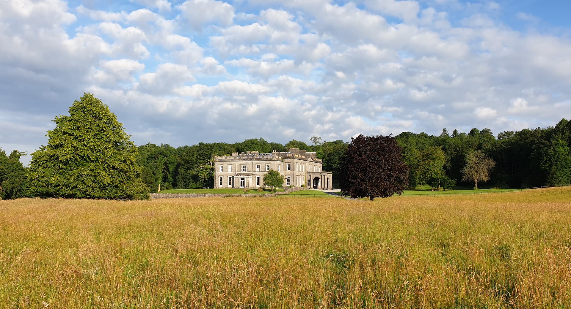 The parkland