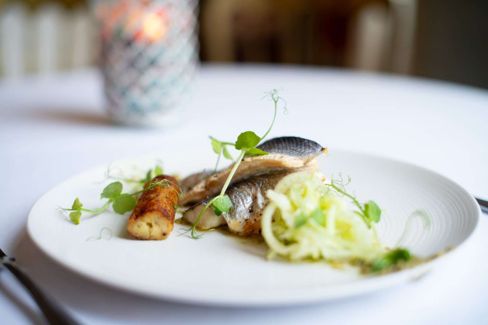 Sea bass main course at Temple House