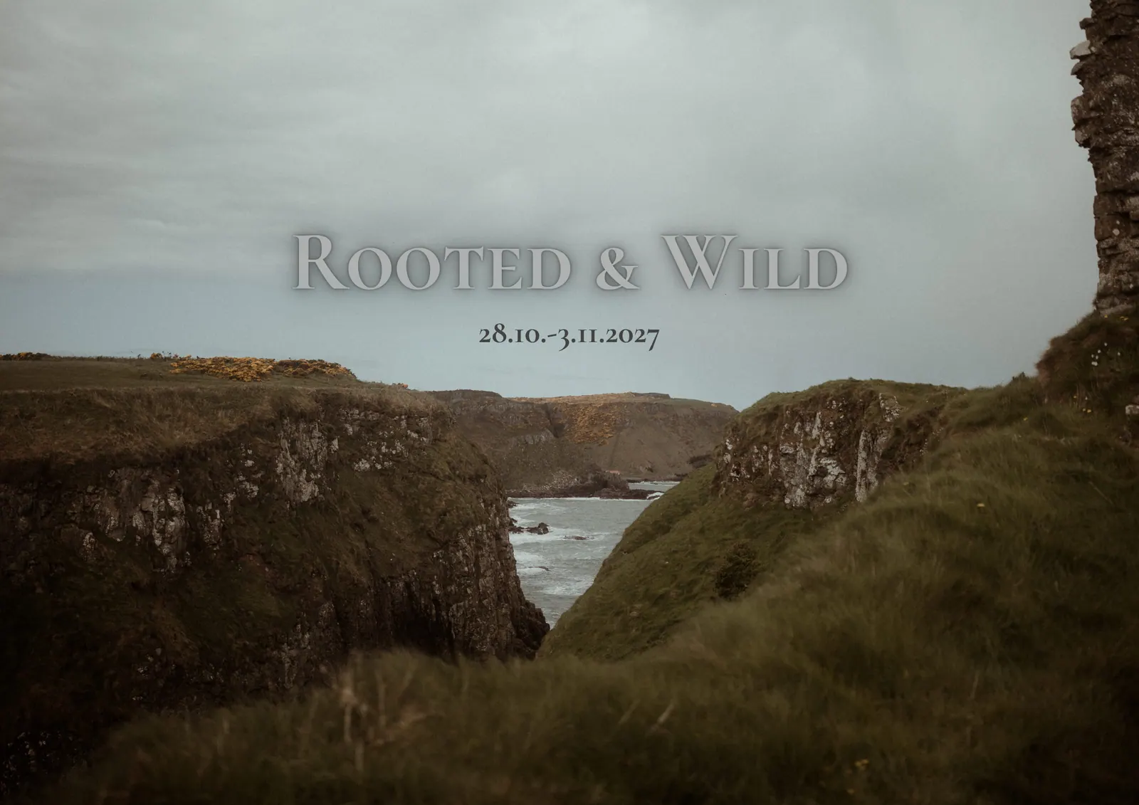 Rooted & Wild, 28 October to 3 November 2027: dramatic Irish sea cliffs under a grey sky