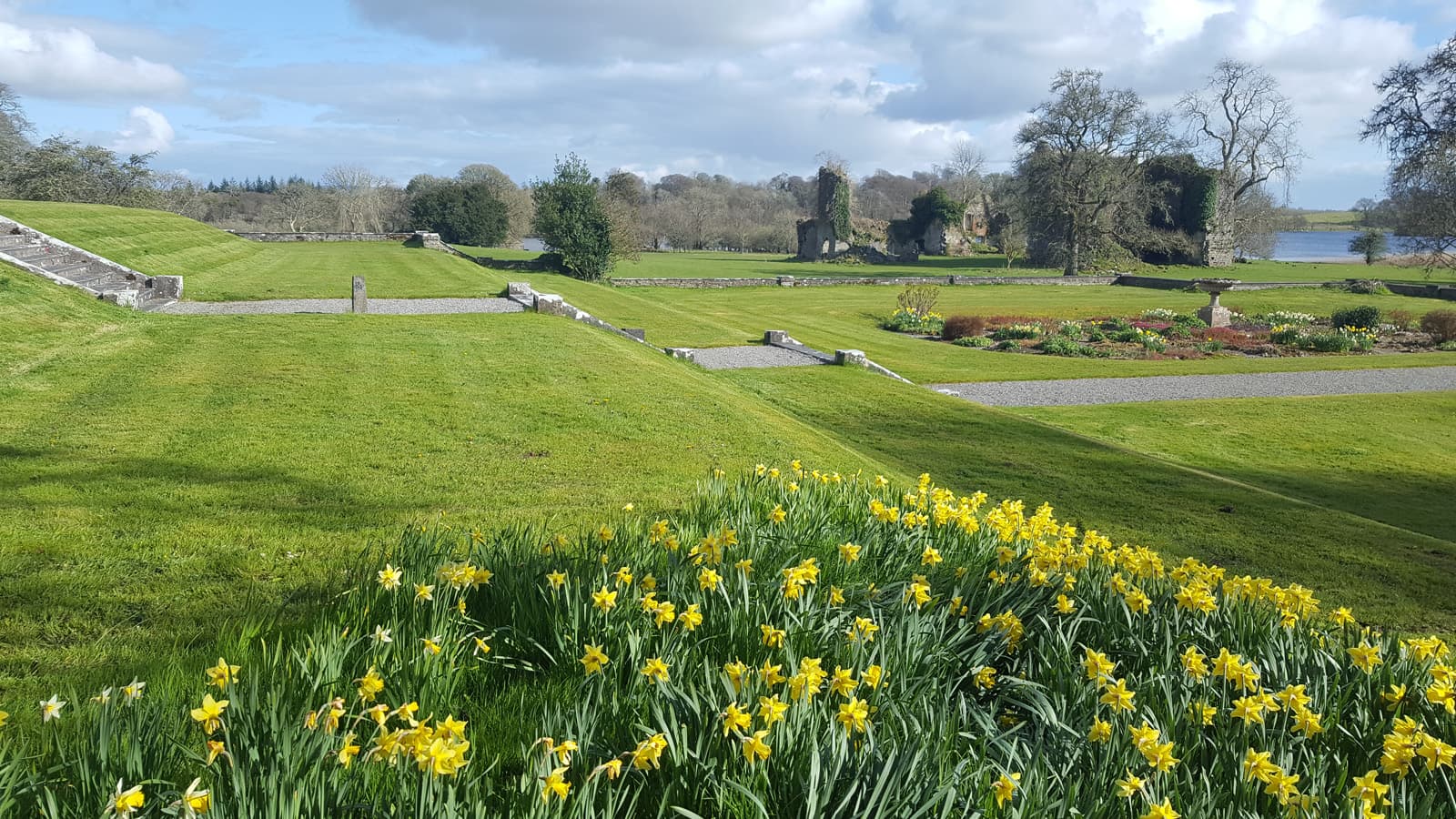 Daffodils in bloom in the gardens at Temple House